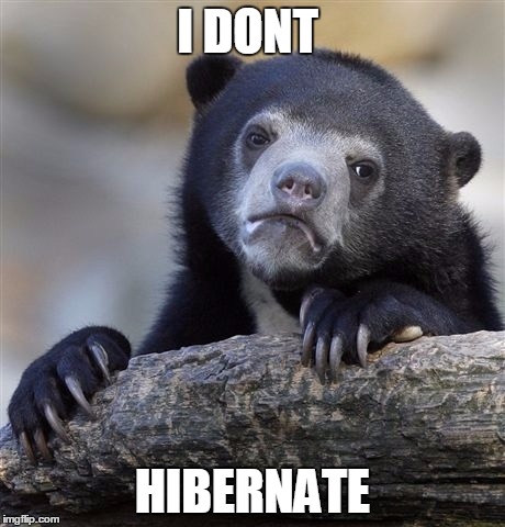 Confession Bear | I DONT; HIBERNATE | image tagged in memes,confession bear | made w/ Imgflip meme maker