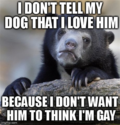 Confession Bear Meme | I DON'T TELL MY DOG THAT I LOVE HIM BECAUSE I DON'T WANT HIM TO THINK I'M GAY | image tagged in memes,confession bear | made w/ Imgflip meme maker