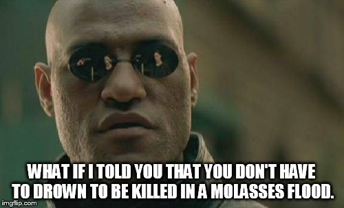 Matrix Morpheus Meme | WHAT IF I TOLD YOU THAT YOU DON'T HAVE TO DROWN TO BE KILLED IN A MOLASSES FLOOD. | image tagged in memes,matrix morpheus | made w/ Imgflip meme maker