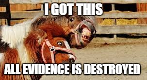 I GOT THIS; ALL EVIDENCE IS DESTROYED | image tagged in hillary clinton,pony | made w/ Imgflip meme maker