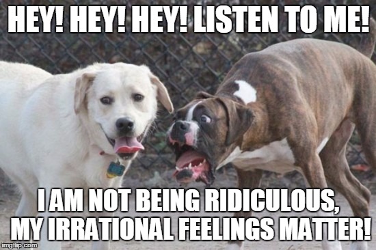 ...I may have done this a few times...but in my defense, what I had to say was important. | HEY! HEY! HEY! LISTEN TO ME! I AM NOT BEING RIDICULOUS, MY IRRATIONAL FEELINGS MATTER! | image tagged in dogs,argue,jerk dog,no listen,memes | made w/ Imgflip meme maker