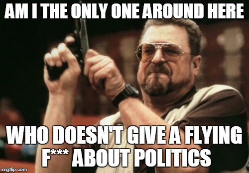 Am I The Only One Around Here Meme | AM I THE ONLY ONE AROUND HERE; WHO DOESN'T GIVE A FLYING F*** ABOUT POLITICS | image tagged in memes,am i the only one around here | made w/ Imgflip meme maker