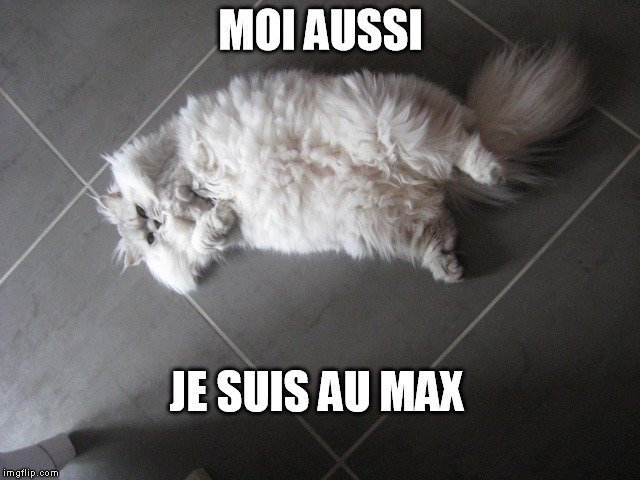 MOI AUSSI; JE SUIS AU MAX | made w/ Imgflip meme maker