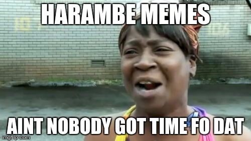 Ain't Nobody Got Time For That | HARAMBE MEMES; AINT NOBODY GOT TIME FO DAT | image tagged in memes,aint nobody got time for that | made w/ Imgflip meme maker