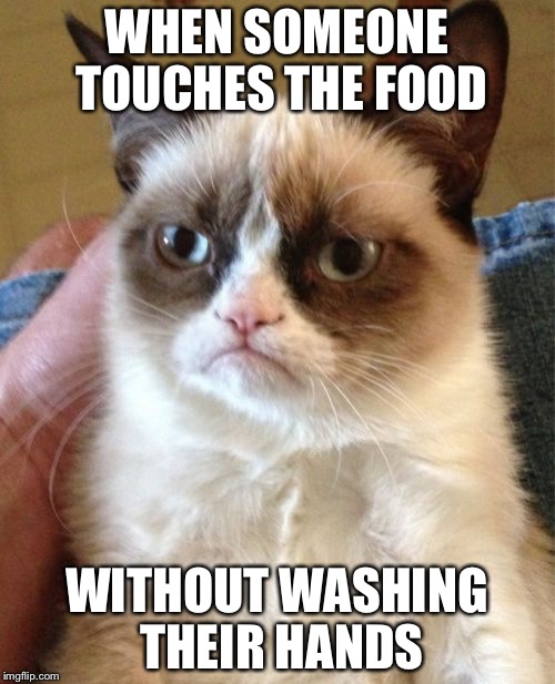 Grumpy Cat Meme | WHEN SOMEONE TOUCHES THE FOOD; WITHOUT WASHING THEIR HANDS | image tagged in memes,grumpy cat | made w/ Imgflip meme maker