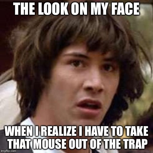 Conspiracy Keanu Meme | THE LOOK ON MY FACE; WHEN I REALIZE I HAVE TO TAKE THAT MOUSE OUT OF THE TRAP | image tagged in memes,conspiracy keanu | made w/ Imgflip meme maker