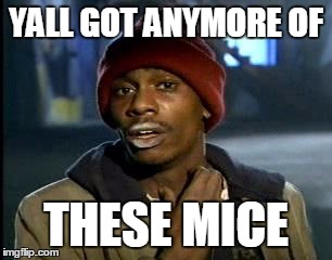 YALL GOT ANYMORE OF THESE MICE | image tagged in memes,yall got any more of | made w/ Imgflip meme maker