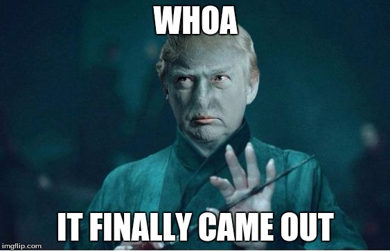 Donald Voldemort | WHOA; IT FINALLY CAME OUT | image tagged in donald voldemort | made w/ Imgflip meme maker