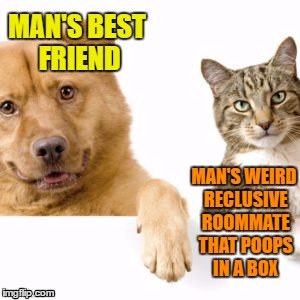 Dog and Cat | image tagged in dogs,cats,man's best friend,reclusive roommate,weirdo | made w/ Imgflip meme maker