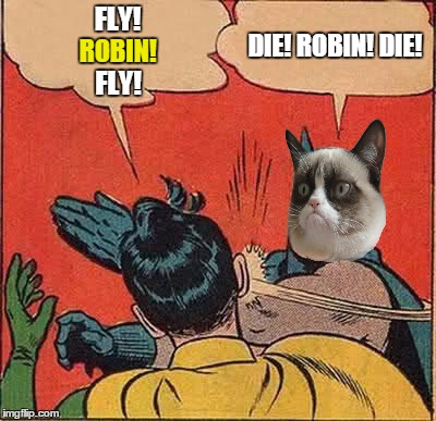 You know that 70's song about me? | FLY! DIE! ROBIN! DIE! ROBIN! FLY! | image tagged in memes,batman slapping robin | made w/ Imgflip meme maker