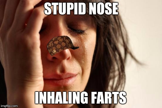 First World Problems Meme | STUPID NOSE; INHALING FARTS | image tagged in memes,first world problems,scumbag | made w/ Imgflip meme maker