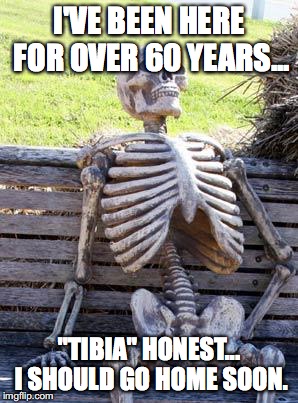SkelePuns | I'VE BEEN HERE FOR OVER 60 YEARS... "TIBIA" HONEST... I SHOULD GO HOME SOON. | image tagged in memes,waiting skeleton | made w/ Imgflip meme maker
