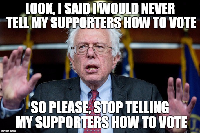 Bernie Sanders surprised | LOOK, I SAID I WOULD NEVER TELL MY SUPPORTERS HOW TO VOTE; SO PLEASE, STOP TELLING MY SUPPORTERS HOW TO VOTE | image tagged in bernie sanders surprised | made w/ Imgflip meme maker