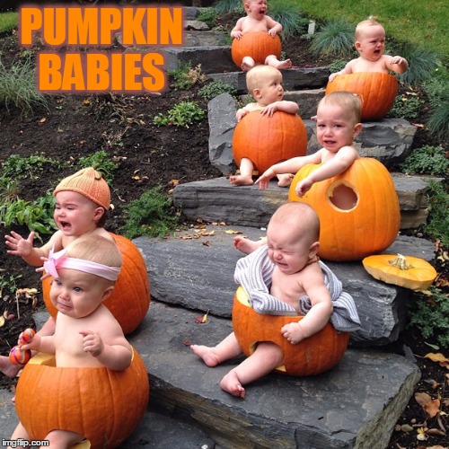 PUMPKIN BABIES | made w/ Imgflip meme maker