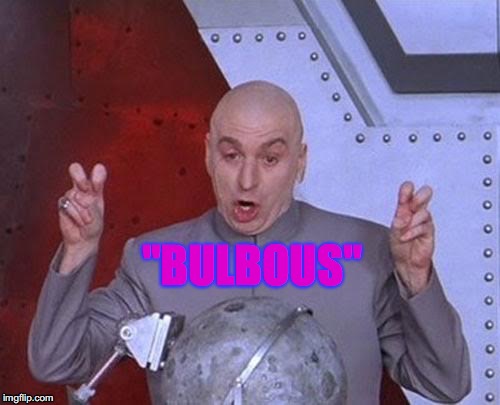 Dr Evil Laser | "BULBOUS" | image tagged in memes,dr evil laser | made w/ Imgflip meme maker