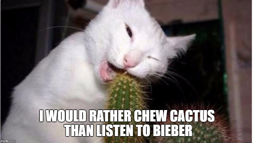 I WOULD RATHER CHEW CACTUS THAN LISTEN TO BIEBER | made w/ Imgflip meme maker