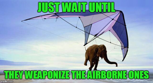 JUST WAIT UNTIL THEY WEAPONIZE THE AIRBORNE ONES | made w/ Imgflip meme maker