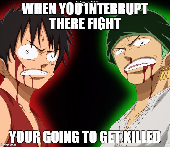 WHEN YOU INTERRUPT THERE FIGHT; YOUR GOING TO GET KILLED | image tagged in zoro vs luffy | made w/ Imgflip meme maker