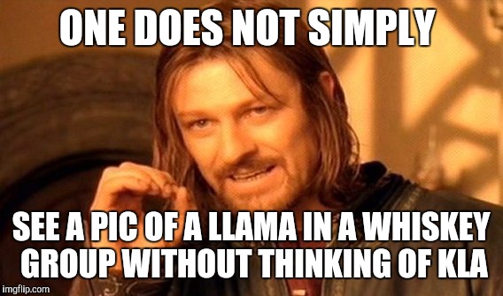 One Does Not Simply Meme | ONE DOES NOT SIMPLY; SEE A PIC OF A LLAMA IN A WHISKEY GROUP WITHOUT THINKING OF KLA | image tagged in memes,one does not simply | made w/ Imgflip meme maker