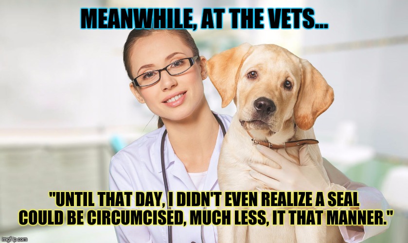 MEANWHILE, AT THE VETS... "UNTIL THAT DAY, I DIDN'T EVEN REALIZE A SEAL COULD BE CIRCUMCISED, MUCH LESS, IT THAT MANNER." | made w/ Imgflip meme maker