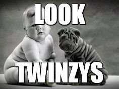 LOOK; TWINZYS | image tagged in biskit twins | made w/ Imgflip meme maker