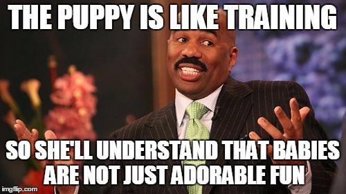 Steve Harvey Meme | THE PUPPY IS LIKE TRAINING SO SHE'LL UNDERSTAND THAT BABIES ARE NOT JUST ADORABLE FUN | image tagged in memes,steve harvey | made w/ Imgflip meme maker