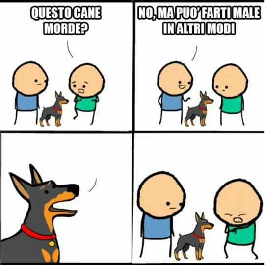 High Quality Does this dog bite ita Blank Meme Template