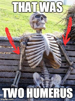 Waiting Skeleton Meme | THAT WAS TWO HUMERUS | image tagged in memes,waiting skeleton | made w/ Imgflip meme maker