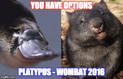 Options are available! | YOU HAVE OPTIONS; PLATYPUS - WOMBAT 2016 | image tagged in presidential race,president 2016 | made w/ Imgflip meme maker