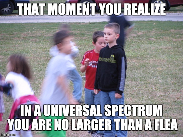 That Moment When You Realize | THAT MOMENT YOU REALIZE; IN A UNIVERSAL SPECTRUM YOU ARE NO LARGER THAN A FLEA | image tagged in that moment when you realize | made w/ Imgflip meme maker