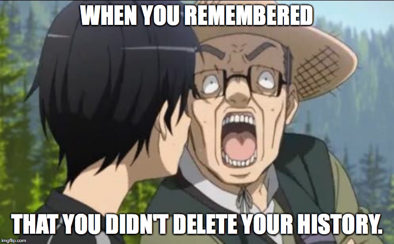 The internet... | WHEN YOU REMEMBERED; THAT YOU DIDN'T DELETE YOUR HISTORY. | image tagged in meme | made w/ Imgflip meme maker