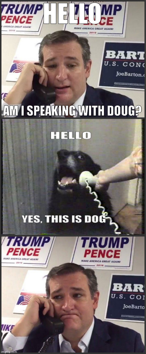 Phone Banking with Ted Cruz | HELLO; AM I SPEAKING WITH DOUG? | image tagged in ted cruz,donald trump,make donald drumpf again,dog,phone,phone banking | made w/ Imgflip meme maker