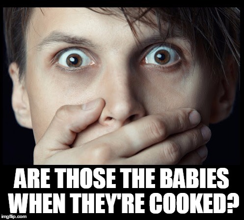 oh my | ARE THOSE THE BABIES WHEN THEY'RE COOKED? | image tagged in oh my | made w/ Imgflip meme maker