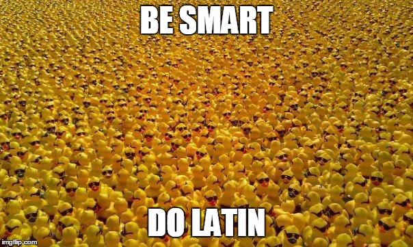 ducks | BE SMART; DO LATIN | image tagged in ducks | made w/ Imgflip meme maker