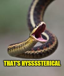 THAT'S HYSSSSTERICAL | made w/ Imgflip meme maker
