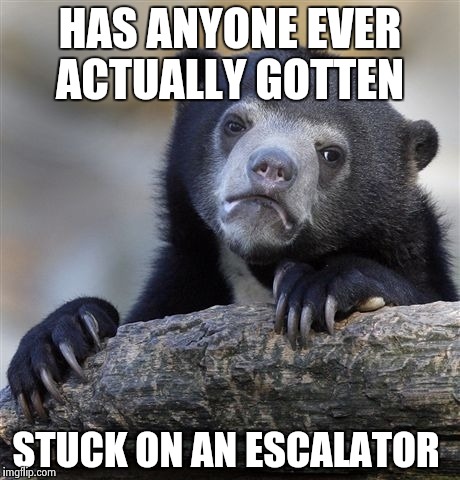 Confession Bear Meme | HAS ANYONE EVER ACTUALLY GOTTEN; STUCK ON AN ESCALATOR | image tagged in memes,confession bear | made w/ Imgflip meme maker