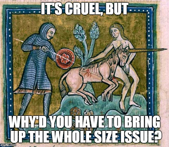 good knights are sensitive, you know | IT'S CRUEL, BUT; WHY'D YOU HAVE TO BRING UP THE WHOLE SIZE ISSUE? | image tagged in medieval,medieval musings,medieval meme,meme,historical meme | made w/ Imgflip meme maker