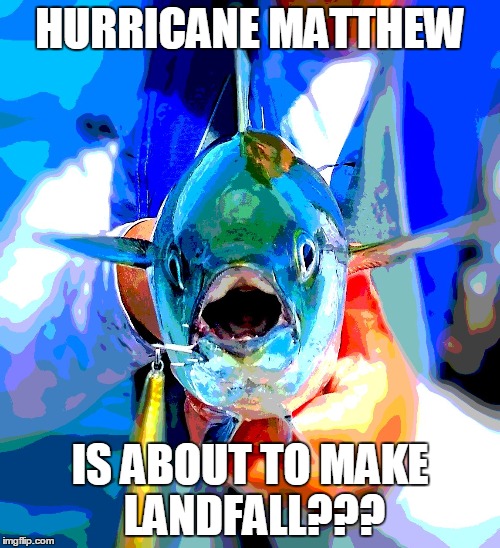 Say whaaat?? | HURRICANE MATTHEW; IS ABOUT TO MAKE LANDFALL??? | image tagged in hurricane matthew,redneckangler | made w/ Imgflip meme maker