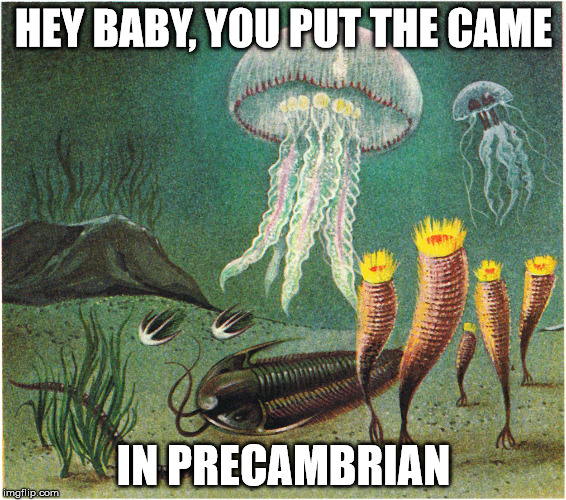HEY BABY, YOU PUT THE CAME; IN PRECAMBRIAN | image tagged in came,precambrian,shitty pun | made w/ Imgflip meme maker