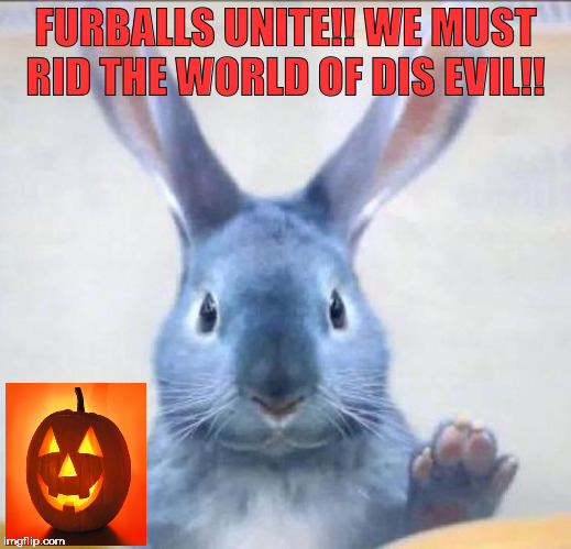 Furballs | FURBALLS UNITE!! WE MUST RID THE WORLD OF DIS EVIL!! | image tagged in memes | made w/ Imgflip meme maker