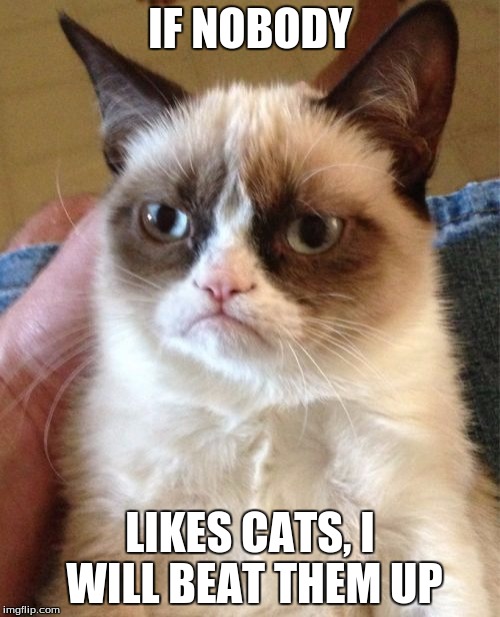 Grumpy Cat | IF NOBODY; LIKES CATS, I WILL BEAT THEM UP | image tagged in memes,grumpy cat | made w/ Imgflip meme maker