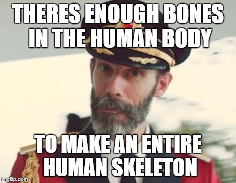 Thank You For All Those Idiots On Facebook! | THERES ENOUGH BONES IN THE HUMAN BODY; TO MAKE AN ENTIRE HUMAN SKELETON | image tagged in captain obvious | made w/ Imgflip meme maker
