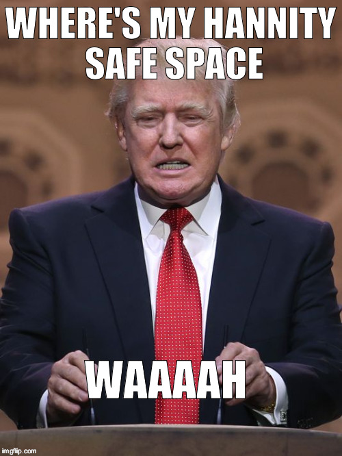 Donald Trump | WHERE'S MY HANNITY SAFE SPACE; WAAAAH | image tagged in donald trump | made w/ Imgflip meme maker