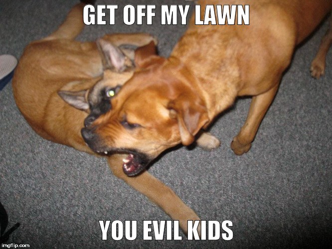 guard dogs | GET OFF MY LAWN; YOU EVIL KIDS | image tagged in funny dogs | made w/ Imgflip meme maker