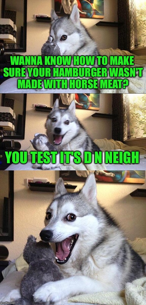 Bad Pun Dog Meme | WANNA KNOW HOW TO MAKE SURE YOUR HAMBURGER WASN'T MADE WITH HORSE MEAT? YOU TEST IT'S D N NEIGH | image tagged in memes,bad pun dog | made w/ Imgflip meme maker