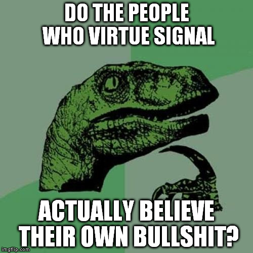 I'm tired of the fake superiority the Hillary camp is constantly spouting | DO THE PEOPLE WHO VIRTUE SIGNAL; ACTUALLY BELIEVE THEIR OWN BULLSHIT? | image tagged in memes,philosoraptor,virtue signaling,liberal logic,biased media,hillary clinton for prison hospital 2016 | made w/ Imgflip meme maker