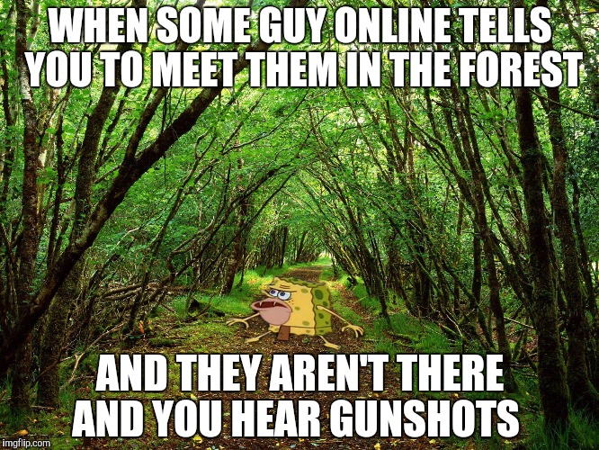 Spongegar Forest | WHEN SOME GUY ONLINE TELLS YOU TO MEET THEM IN THE FOREST; AND THEY AREN'T THERE AND YOU HEAR GUNSHOTS | image tagged in spongegar forest | made w/ Imgflip meme maker