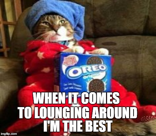 WHEN IT COMES TO LOUNGING AROUND I'M THE BEST | made w/ Imgflip meme maker