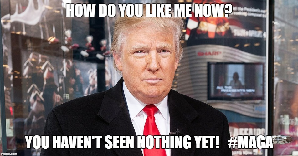 Trump a LEADER | HOW DO YOU LIKE ME NOW? YOU HAVEN'T SEEN NOTHING YET!   #MAGA | image tagged in donald trump,trump | made w/ Imgflip meme maker