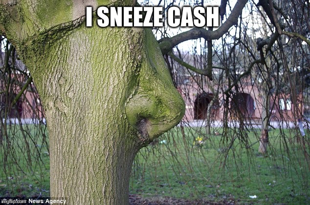 Nose tree | I SNEEZE CASH | image tagged in nose tree | made w/ Imgflip meme maker